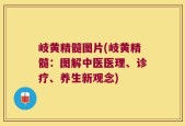 岐黄精髓图片(岐黄精髓：图解中医医理、诊疗、养生新观念)