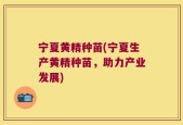 宁夏黄精种苗(宁夏生产黄精种苗，助力产业发展)