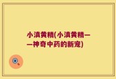 小滇黄精(小滇黄精——神奇中药的新宠)
