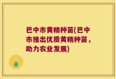 巴中市黄精种苗(巴中市推出优质黄精种苗，助力农业发展)