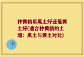 种黄精用黑土好还是黄土好(适合种黄精的土壤：黑土与黄土对比)