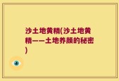 沙土地黄精(沙土地黄精——土地养颜的秘密)