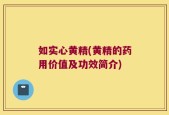 如实心黄精(黄精的药用价值及功效简介)