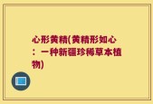心形黄精(黄精形如心：一种新疆珍稀草本植物)