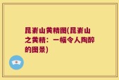 昆嵛山黄精图(昆嵛山之黄精：一幅令人陶醉的图景)