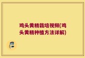 鸡头黄精栽培视频(鸡头黄精种植方法详解)