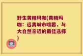 野生黄精玛咖(黄精玛咖：远离城市喧嚣，与大自然亲近的最佳选择)