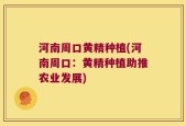 河南周口黄精种植(河南周口：黄精种植助推农业发展)