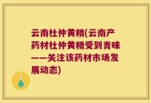 云南杜仲黄精(云南产药材杜仲黄精受到青睐——关注该药材市场发展动态)