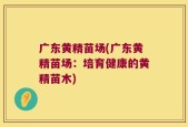 广东黄精苗场(广东黄精苗场：培育健康的黄精苗木)