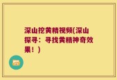 深山挖黄精视频(深山探寻：寻找黄精神奇效果！)