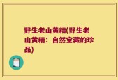 野生老山黄精(野生老山黄精：自然宝藏的珍品)