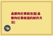 桑椹枸杞黄精泡酒(桑椹枸杞黄精酒的制作方法)