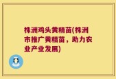 株洲鸡头黄精苗(株洲市推广黄精苗，助力农业产业发展)