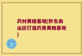 药材黄精基地(黔东南山区打造药用黄精基地)