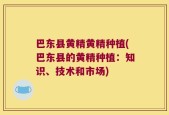 巴东县黄精黄精种植(巴东县的黄精种植：知识、技术和市场)