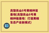 高黎贡山8号黄精种苗基地(高黎贡山8号黄精种植基地：打造黄精生态产业新模式)