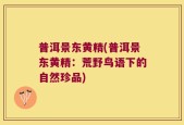 普洱景东黄精(普洱景东黄精：荒野鸟语下的自然珍品)