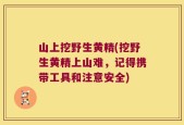 山上挖野生黄精(挖野生黄精上山难，记得携带工具和注意安全)