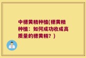中穗黄精种植(穗黄精种植：如何成功收成高质量的穗黄精？)