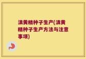 滇黄精种子生产(滇黄精种子生产方法与注意事项)