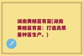 湖南黄精苗育苗(湖南黄精苗育苗：打造高质量种苗生产。)