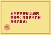 云南黄精种籽(云南黄精种子：珍贵的中药材种植的首选)