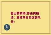 鲁山黄精坡(鲁山黄精坡：重拍革命老区新风景)