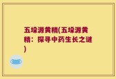 五垛源黄精(五垛源黄精：探寻中药生长之谜)