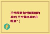 兰州哪里有种植黄精的基地(兰州黄精基地在哪里？)