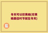 冬天可以挖黄精(挖黄精最佳时节就在冬天)