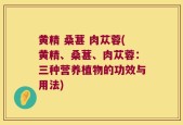 黄精 桑葚 肉苁蓉(黄精、桑葚、肉苁蓉：三种营养植物的功效与用法)