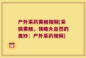 户外采药黄精视频(采摘黄精，领略大自然的美妙：户外采药视频)