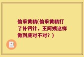 偷采黄精(偷采黄精打了补钙针，王阿姨这样做到底对不对？)