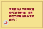 滇黄精适合三峡库区种植吗(适合种植！滇黄精在三峡库区能否生长良好？)