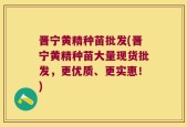 晋宁黄精种苗批发(晋宁黄精种苗大量现货批发，更优质、更实惠！)