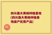 四川最大黄精种植基地(四川最大黄精种植基地盛产优质产品)
