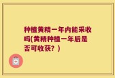 种植黄精一年内能采收吗(黄精种植一年后是否可收获？)