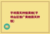 平坝露天种植黄精(平坝山区推广黄精露天种植)