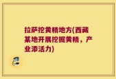 拉萨挖黄精地方(西藏某地开展挖掘黄精，产业添活力)