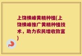 上饶横峰黄精种植(上饶横峰推广黄精种植技术，助力农民增收致富)