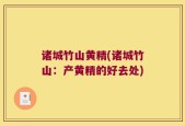 诸城竹山黄精(诸城竹山：产黄精的好去处)