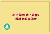 地下黄精(地下黄精：一种神奇的中药材)