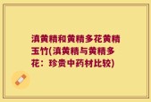 滇黄精和黄精多花黄精玉竹(滇黄精与黄精多花：珍贵中药材比较)
