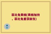 菲比兔黄精(黄精加持，菲比兔重获新生)