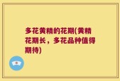 多花黄精的花期(黄精花期长，多花品种值得期待)