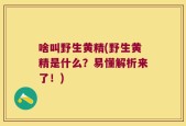 啥叫野生黄精(野生黄精是什么？易懂解析来了！)