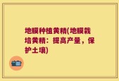地膜种植黄精(地膜栽培黄精：提高产量，保护土壤)