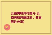 云南黄精开花图片(云南黄精绚丽绽放，美丽照片分享)