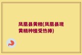 凤凰县黄精(凤凰县现黄精种植受热捧)